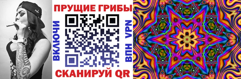 Псилоцибиновые грибы прущие грибы  Ладушкин 
